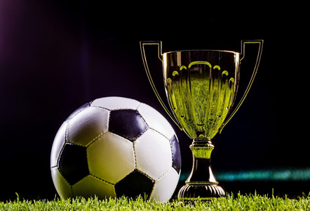 本文将深入 本文将深入