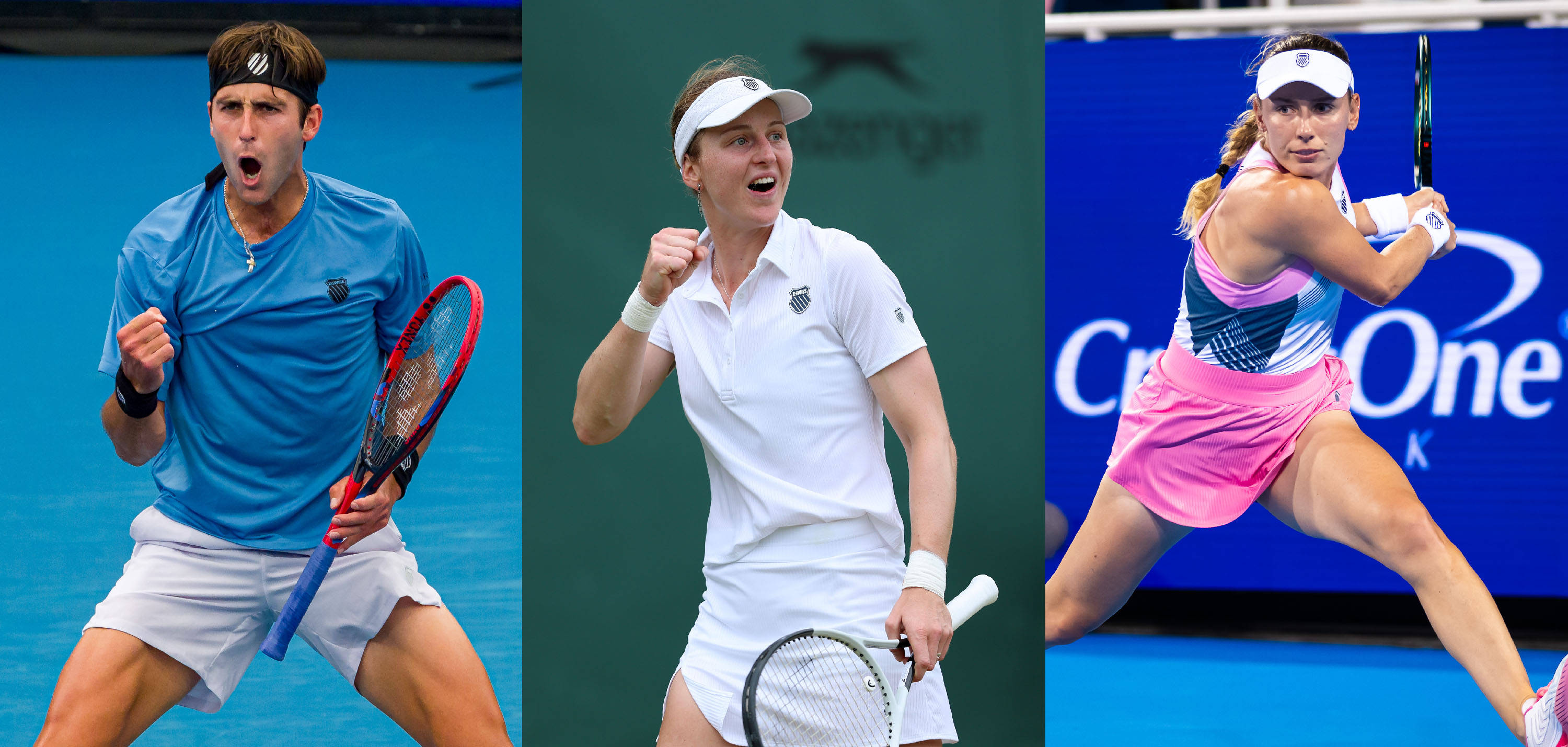 会继续被引 会继续被引