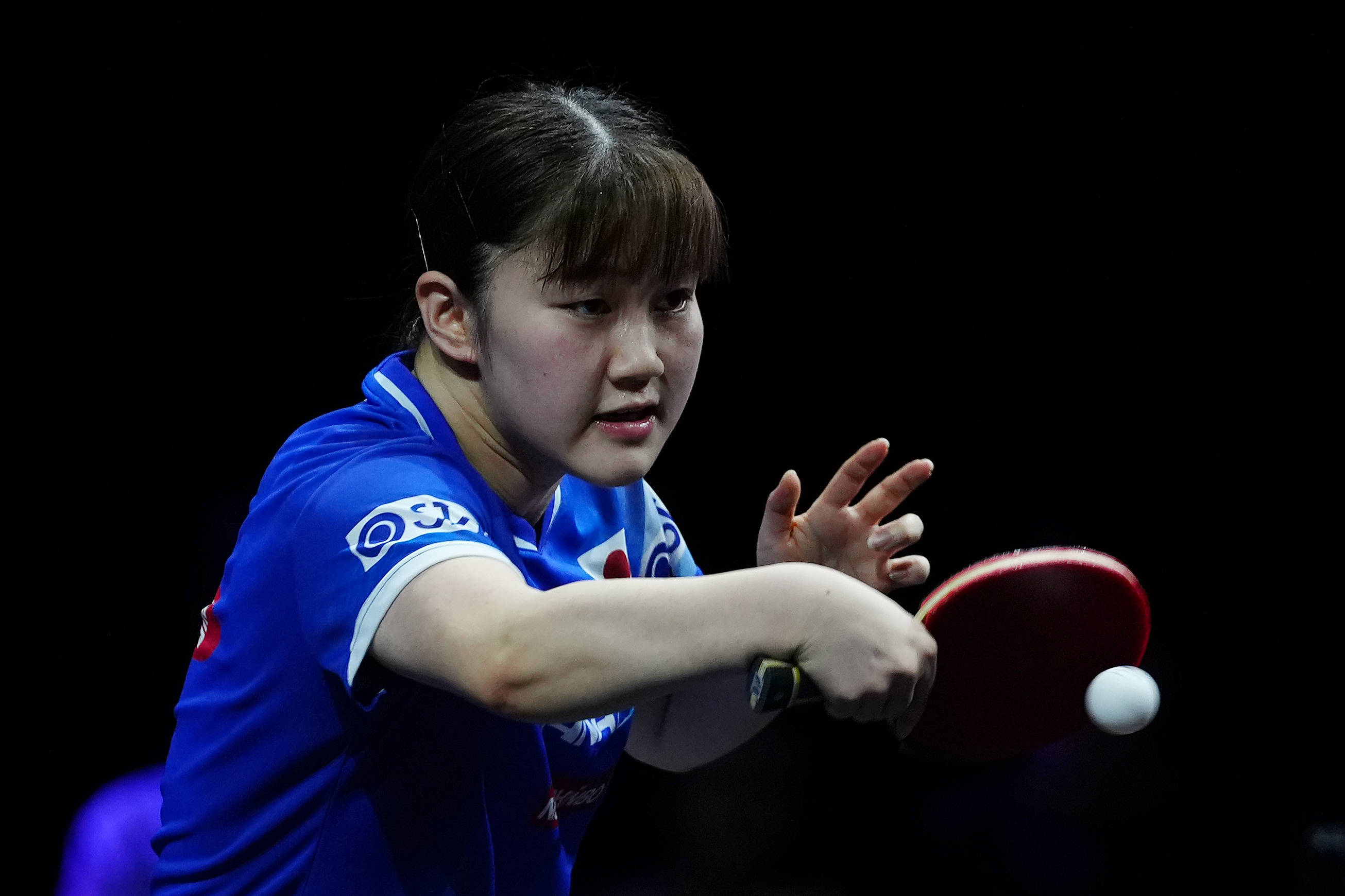 量身定制的 量身定制的