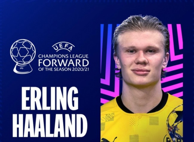 本就属于 本就属于